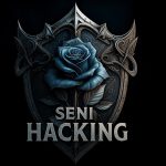 seni hacking